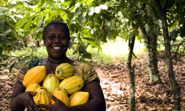 O que significa o termo agronegócio?  Aprenda aqui