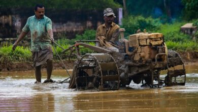 Relatório Financeiro de Negócios Agrícolas e Agrícolas