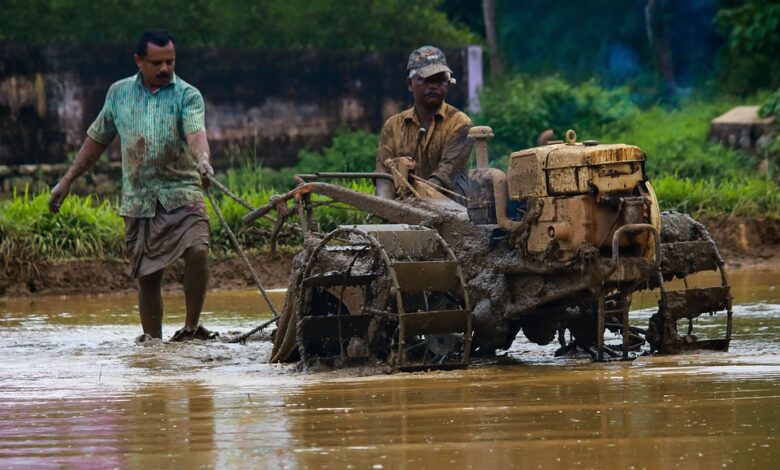 Relatório Financeiro de Negócios Agrícolas e Agrícolas